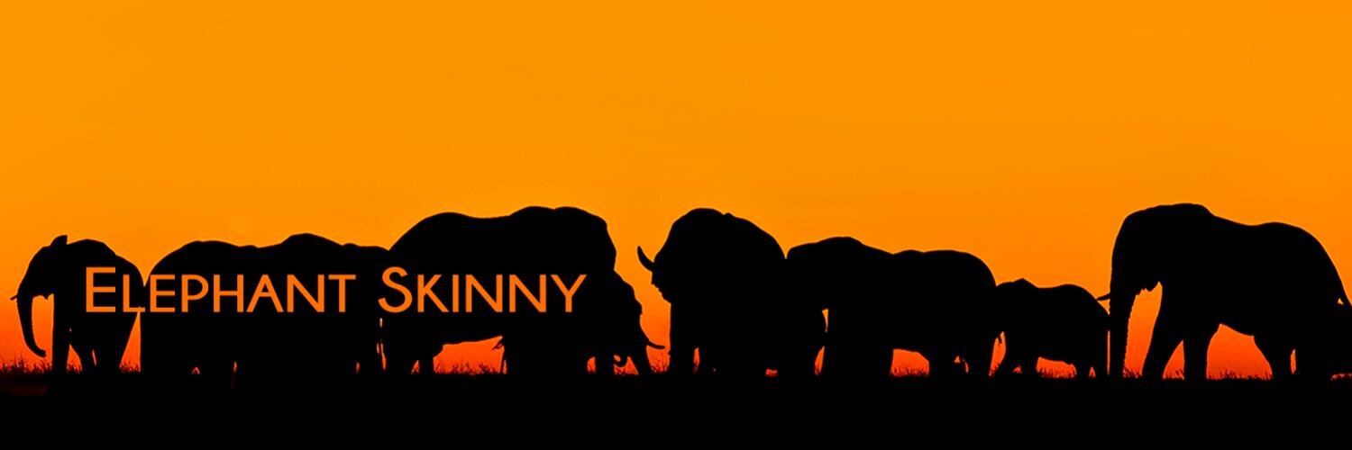 ElephantSkinny's profile banner image