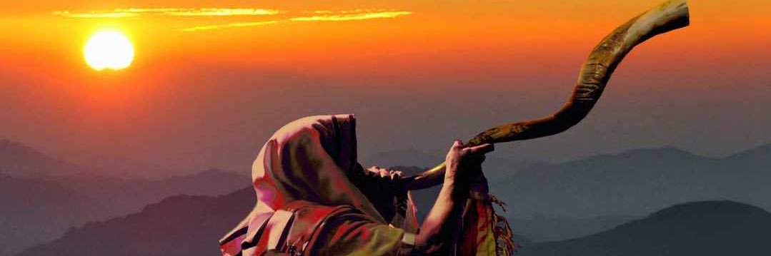 IamKwesi_Sam's profile banner image