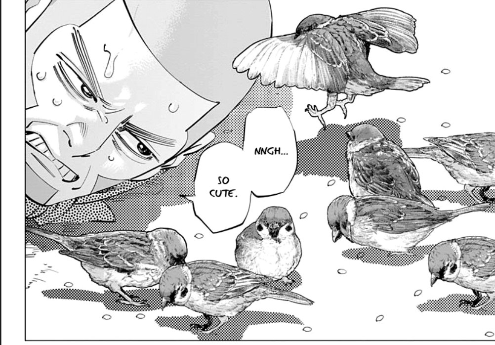plumsoured's profile banner image