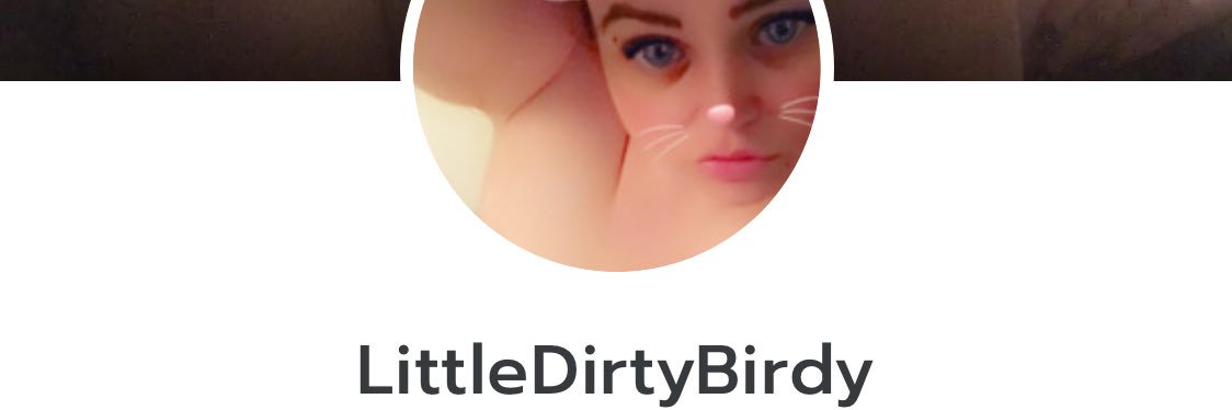 LittleDirtyBird's profile banner image
