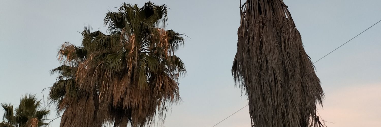 nooobster117's profile banner image