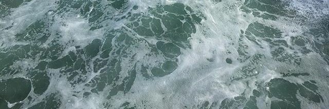 selenaxisabella's profile banner image