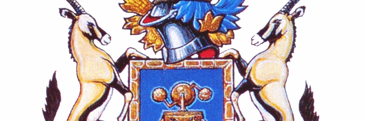 SAIMechE banner