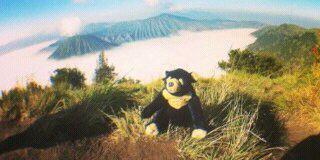 ITONKBANDEL's profile banner image
