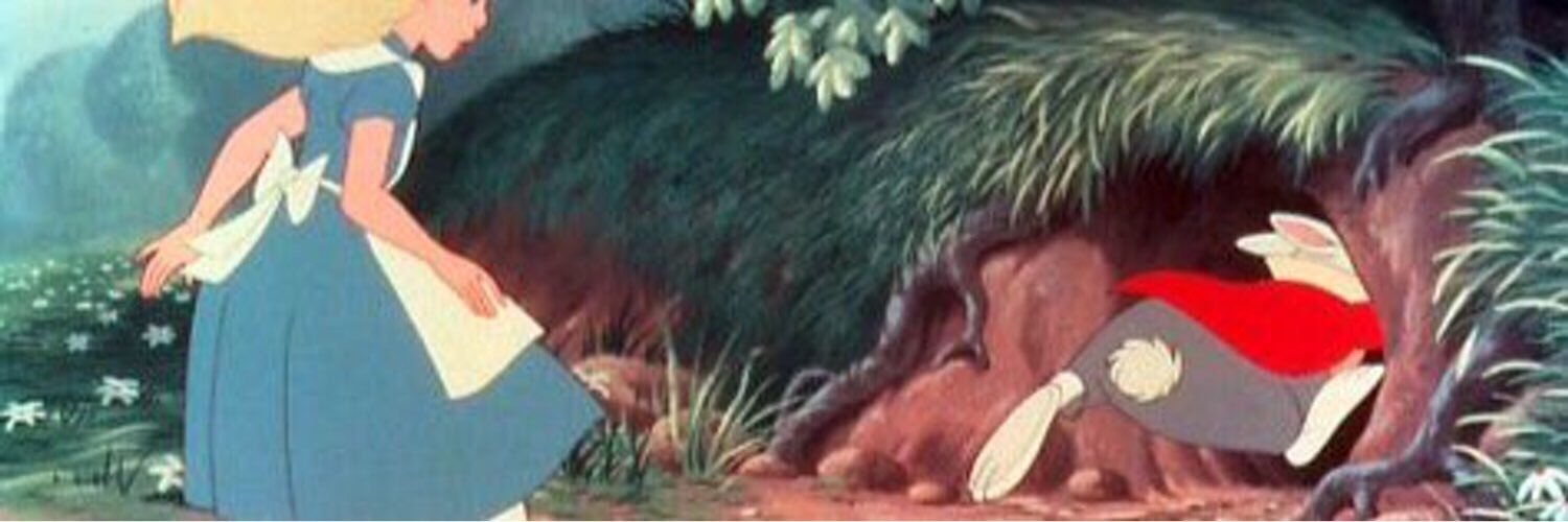 rabbit_5155y's profile banner image