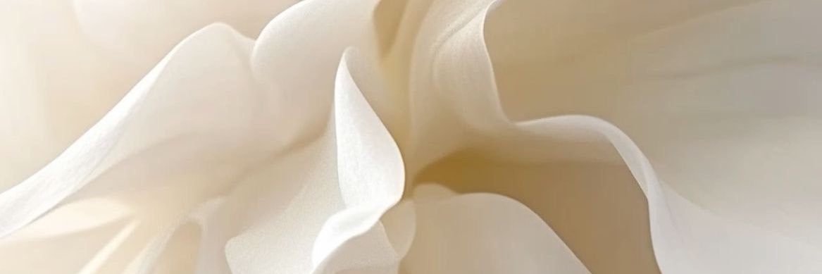 amnadira_'s profile banner image