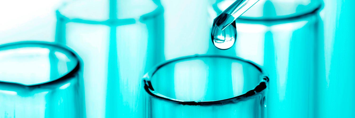 Stéphanie Lecomte banner