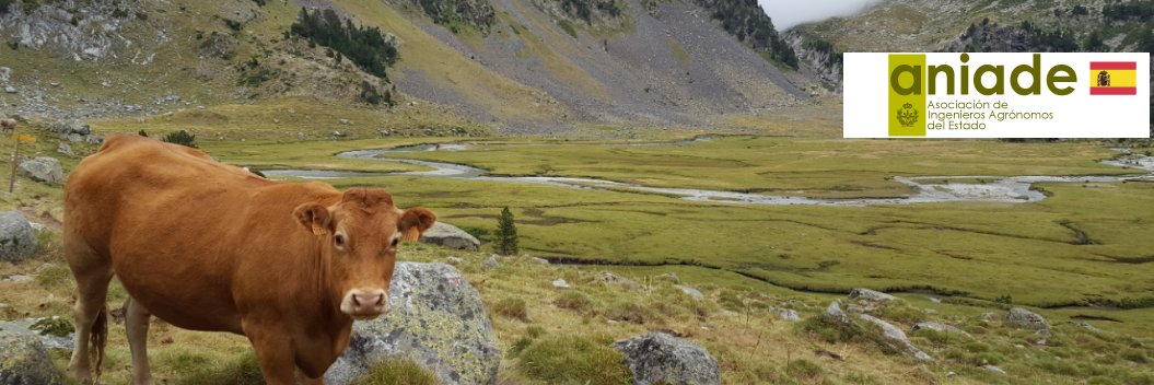 ANIADE banner