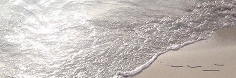 ڤ. banner