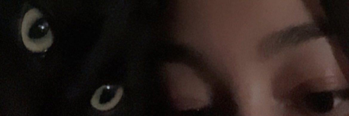 celestialcee's profile banner image
