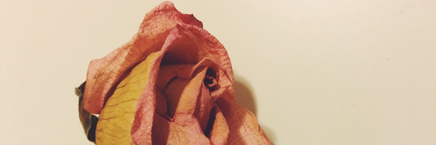 notsuperRae's profile banner image
