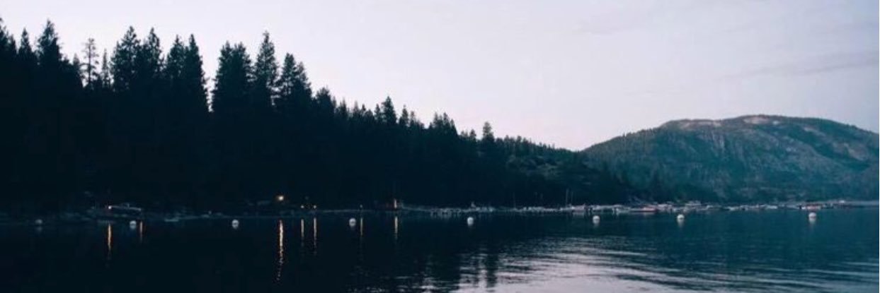 madison_daves's profile banner image