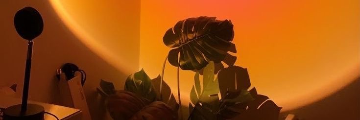 azizeesu's profile banner image