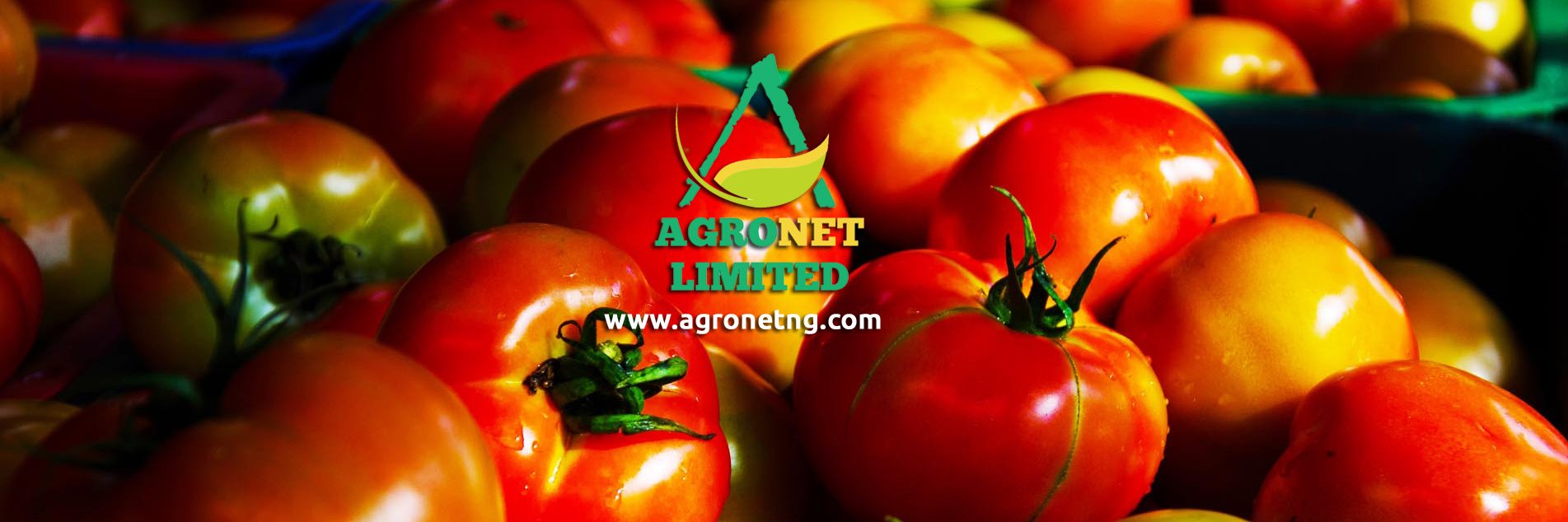AGRONET NIGERIA banner