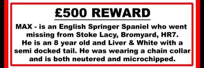 Lets Get Max Home banner