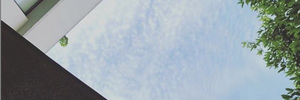 willowsolo's profile banner image