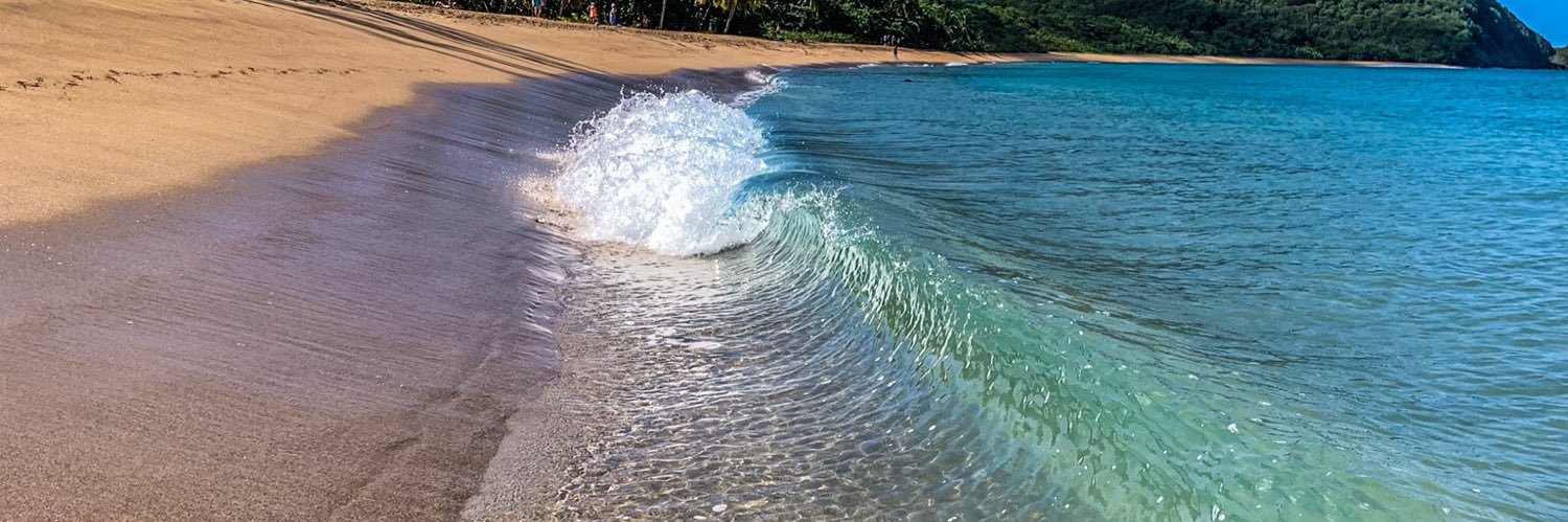 Rastafaway 🌴 banner