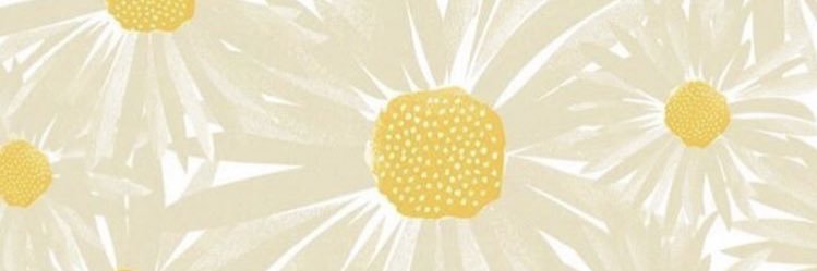 ireneemp's profile banner image