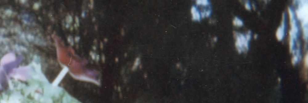 notgerx's profile banner image