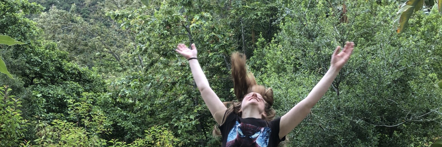thenancydruid's profile banner image