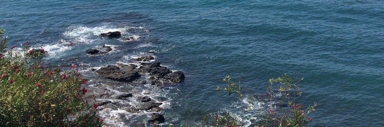 Isamar banner
