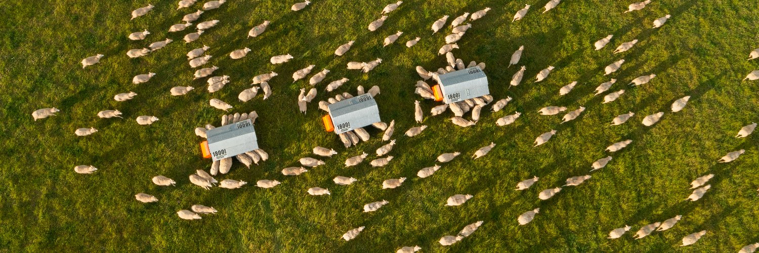 Advantage Feeders banner