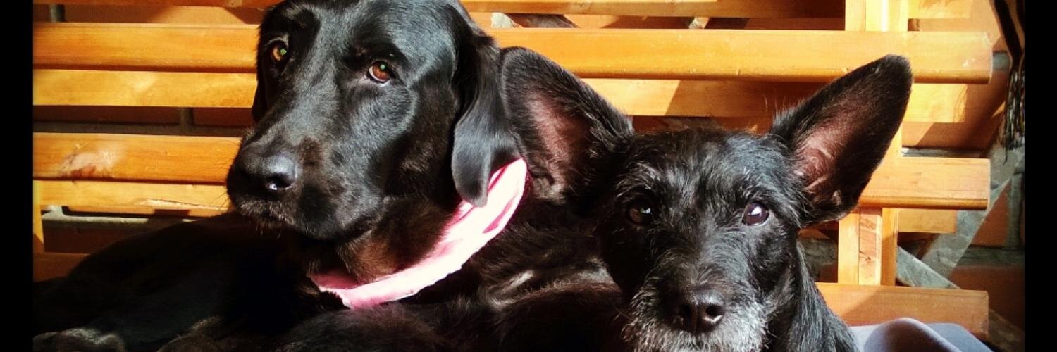 Charlie Mejia banner