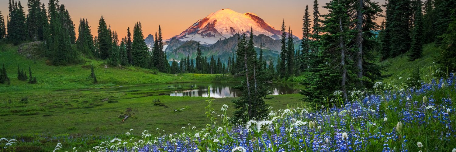 @DSShakespeare, AND @dsshake.bsky.social🇺🇦🌊⚛️💙 banner