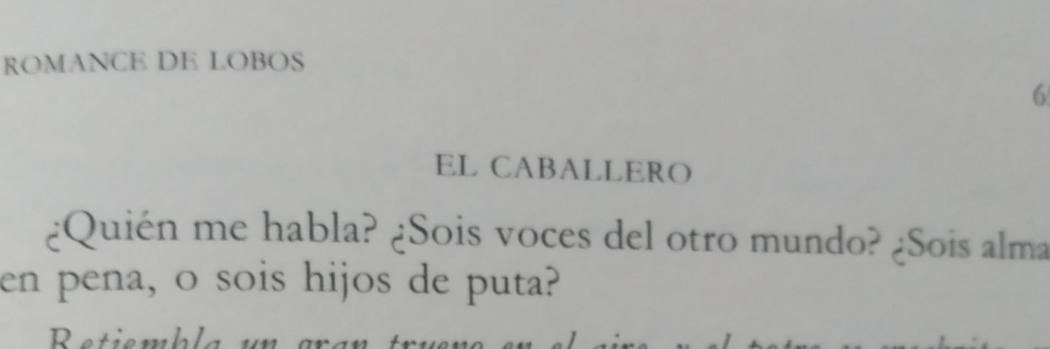 conVdeVi 🍂🍁🌲🍉 banner