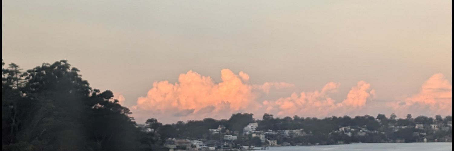 sleepysuds's profile banner image