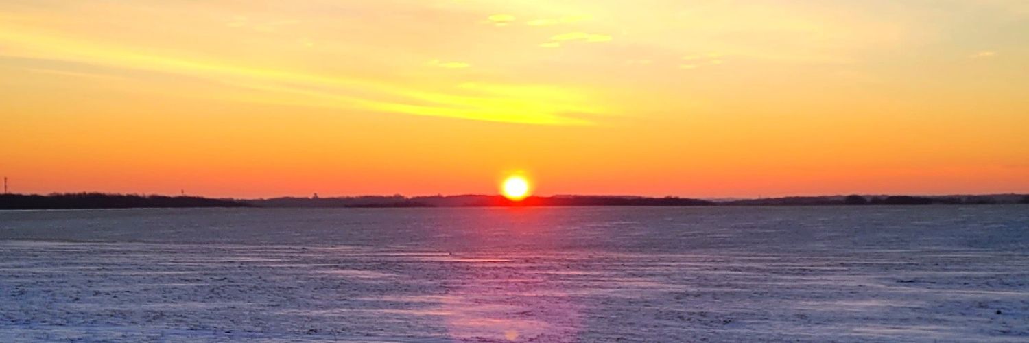 Paulinebssln's profile banner image