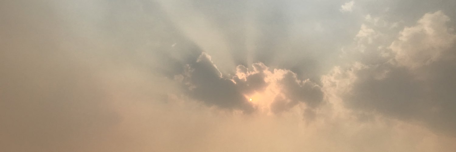Ali28602's profile banner image
