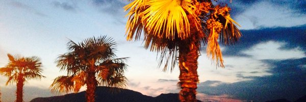 Cpoindron Profile Banner