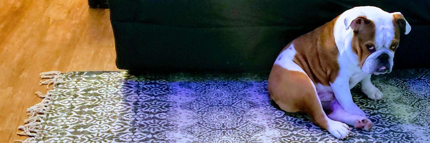 msgcruz's profile banner image