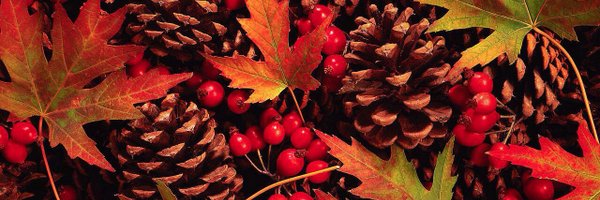 Welshdee49 Profile Banner