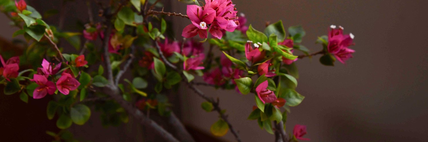 CharuSrinivasan's profile banner image