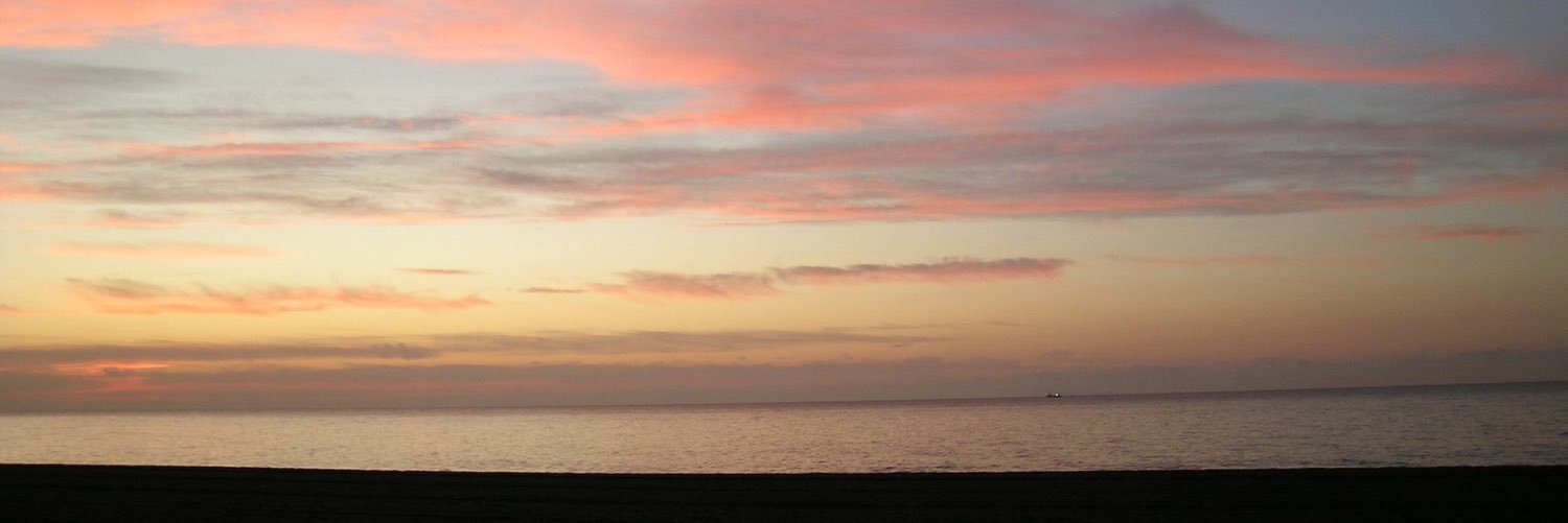 LauraBarroso_'s profile banner image