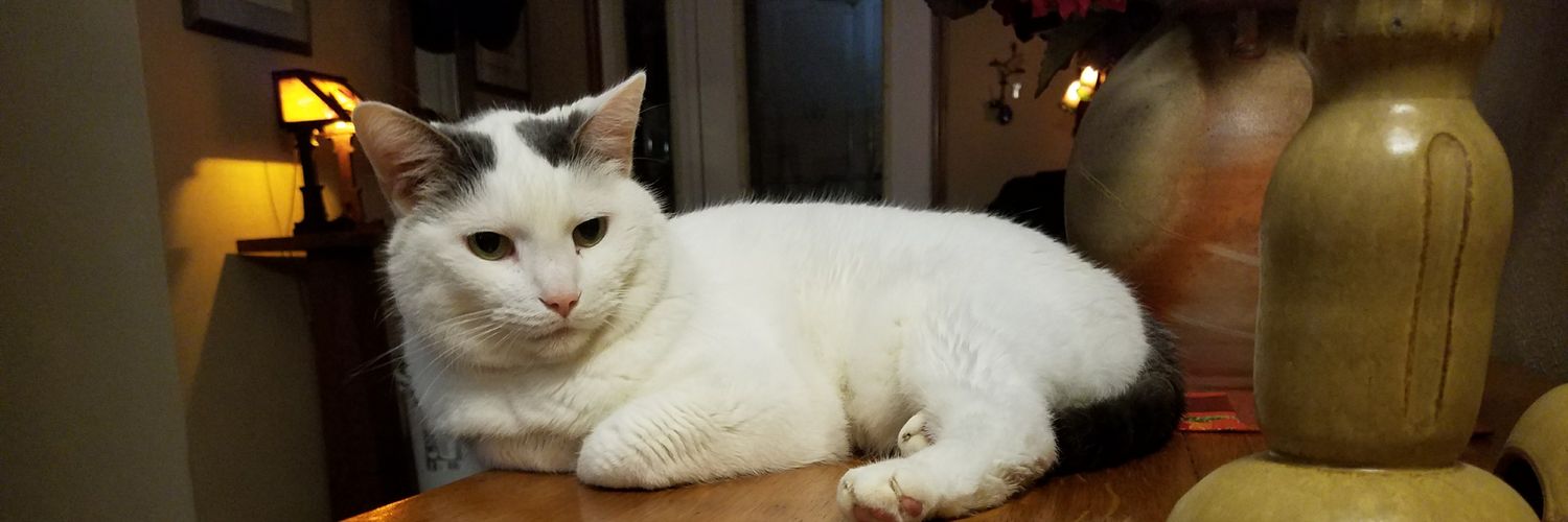 MScottWatson2's profile banner image