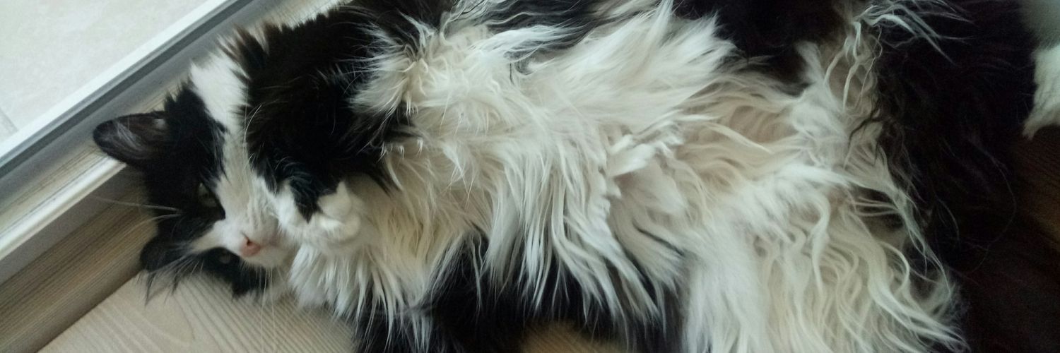 _sedacaglar's profile banner image