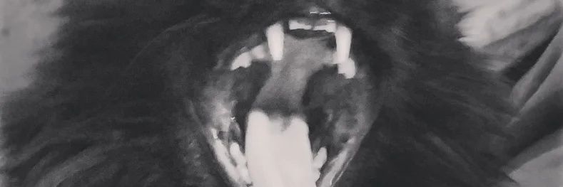 Enter your name banner