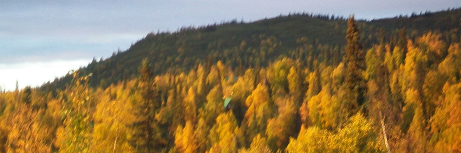 Heidi Cabral banner