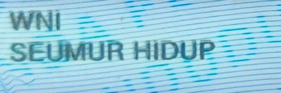 MDjancuk's profile banner image
