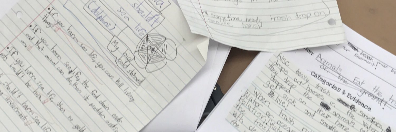 KaraMarkiewicz's profile banner image