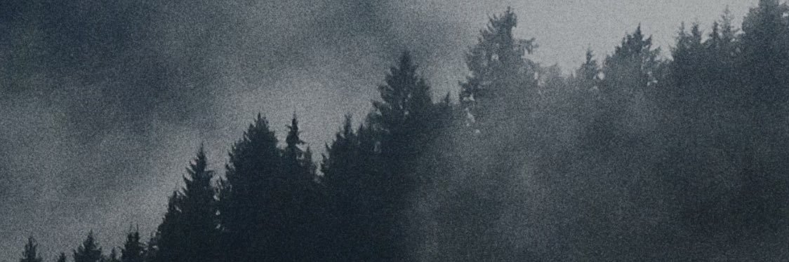 Judith 🤺🏳️‍⚧️🐺's banner