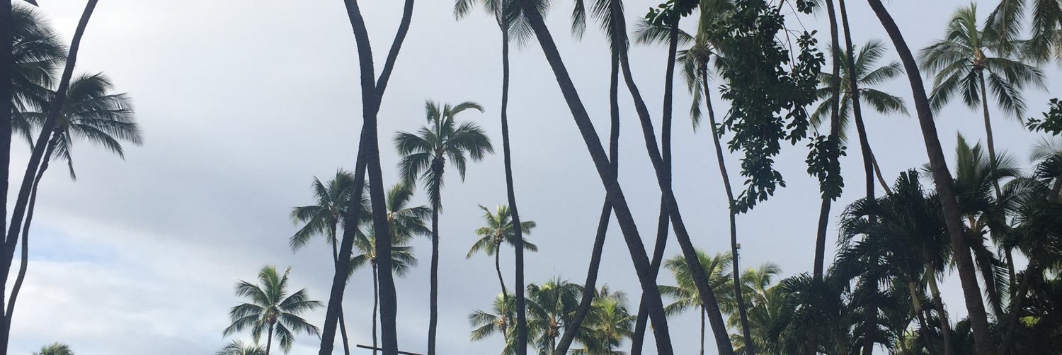 joansers's profile banner image