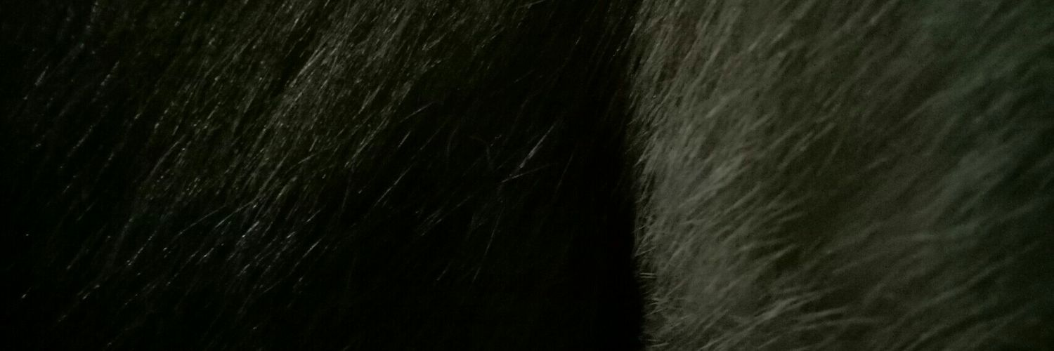 MatMadMate's profile banner image
