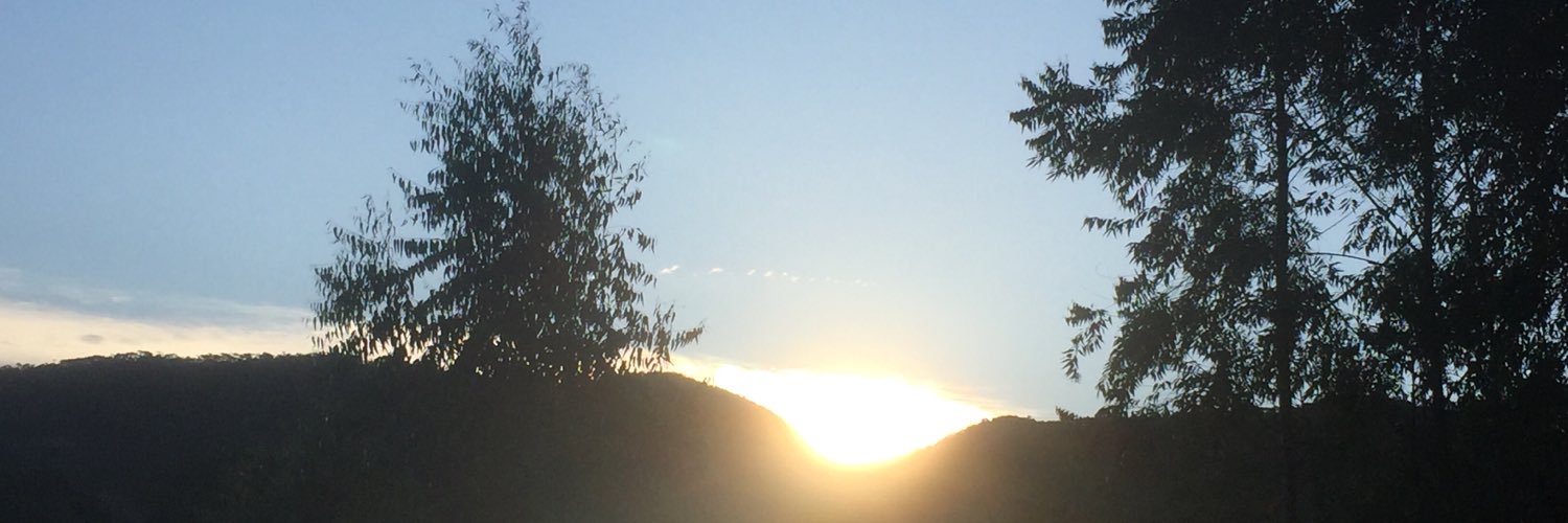 BRPannn's profile banner image