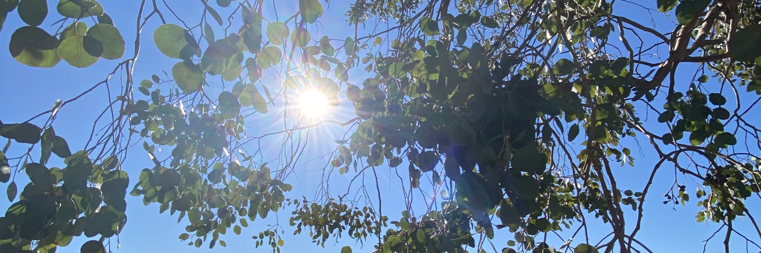 morganewentz's profile banner image