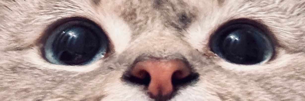 melikxe_'s profile banner image