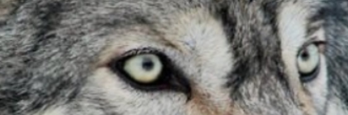 Felipee567's profile banner image